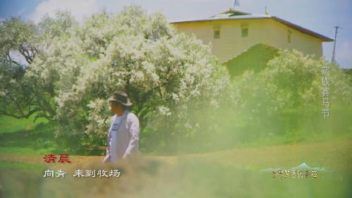 藏族賽馬節