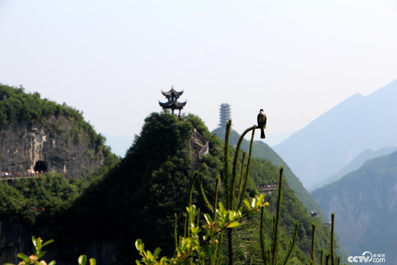 云陽龍缸景區秀麗的風景吸引著不少外地游客